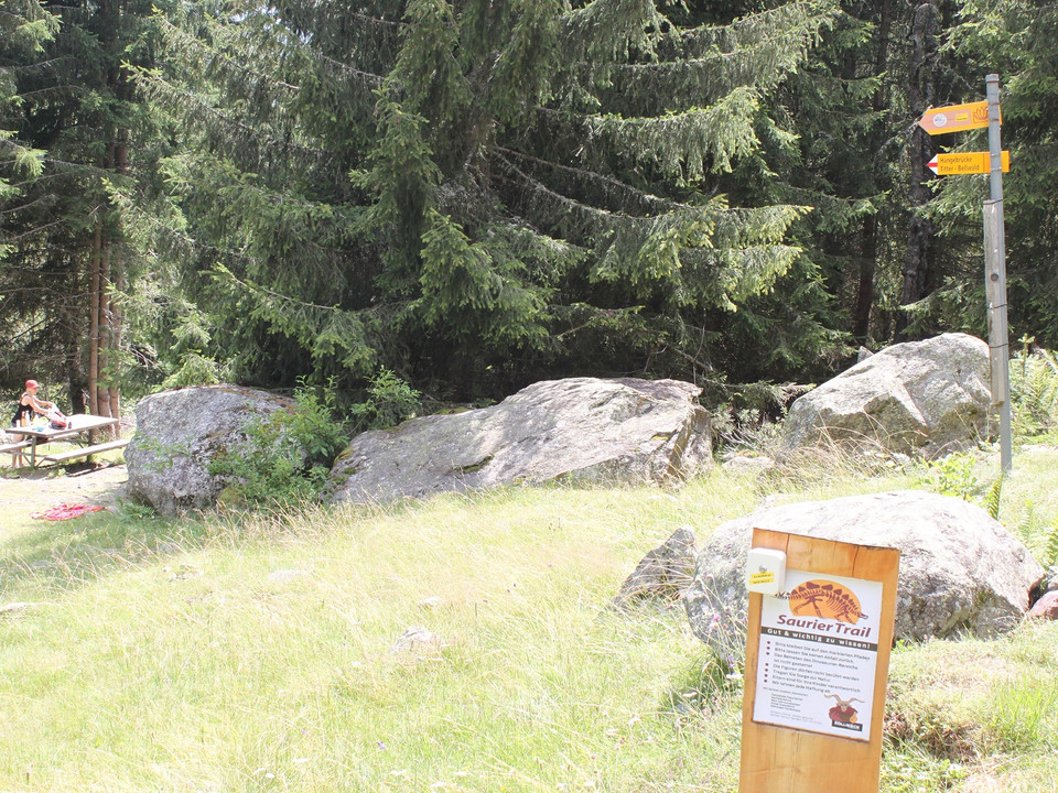 Themenweg Sauriertrail Fieschertal - Feuerstelle Brüchergand - Fieschertal