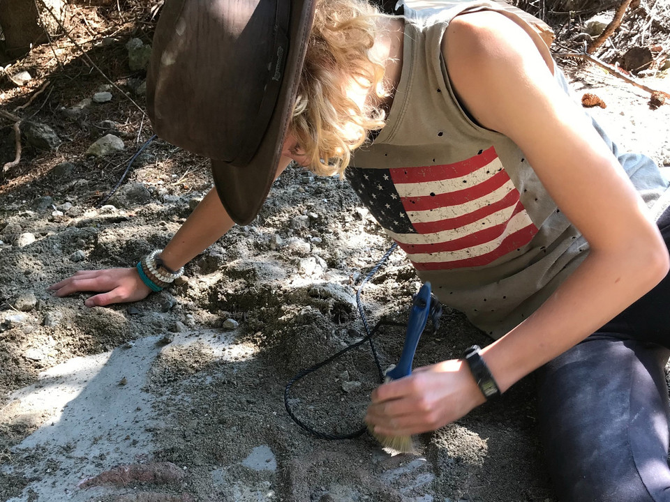 Themenweg Sauriertrail Fieschertal - Feuerstelle Brüchergand - Fieschertal