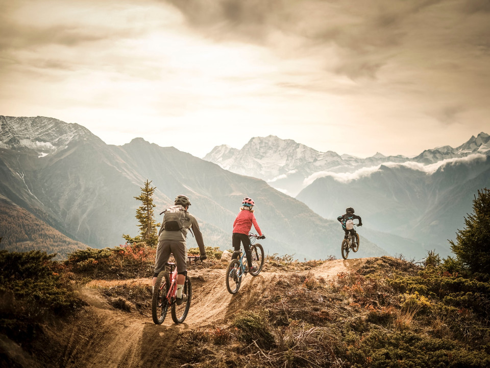 Flowtrail Wurzenbord