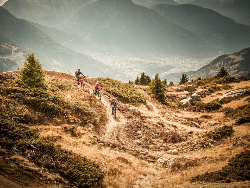 Flowtrail Wurzenbord