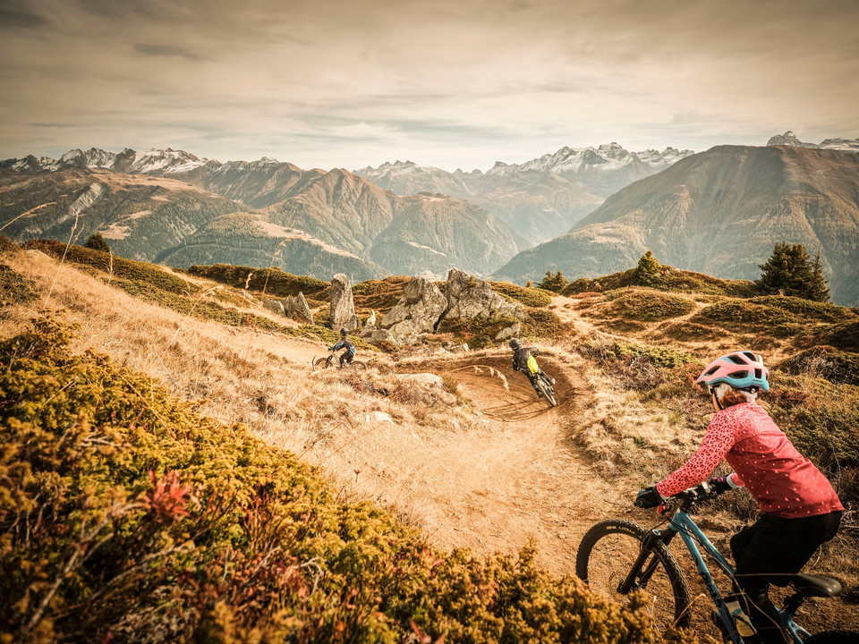 Flowtrail Wurzenbord