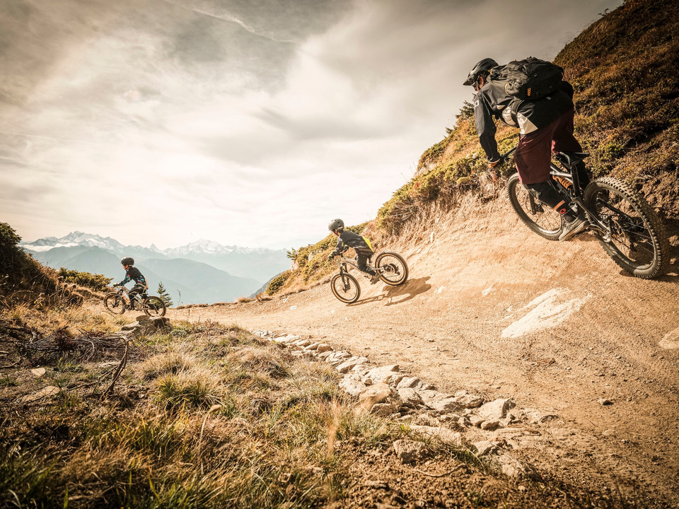 Flowtrail Wurzenbord