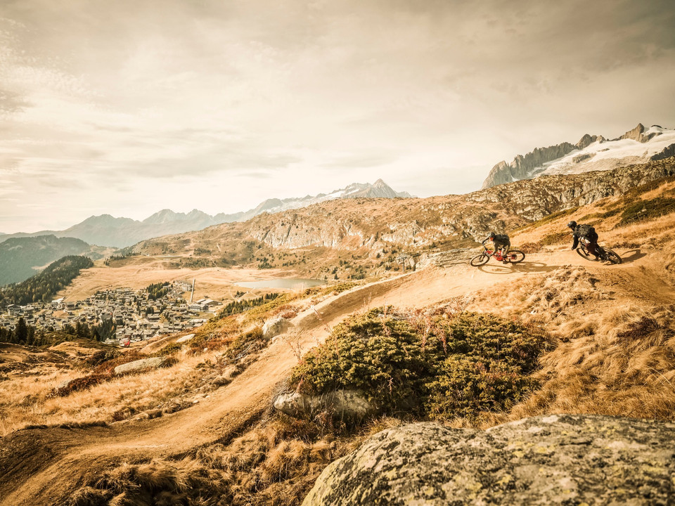 Flowtrail Wurzenbord