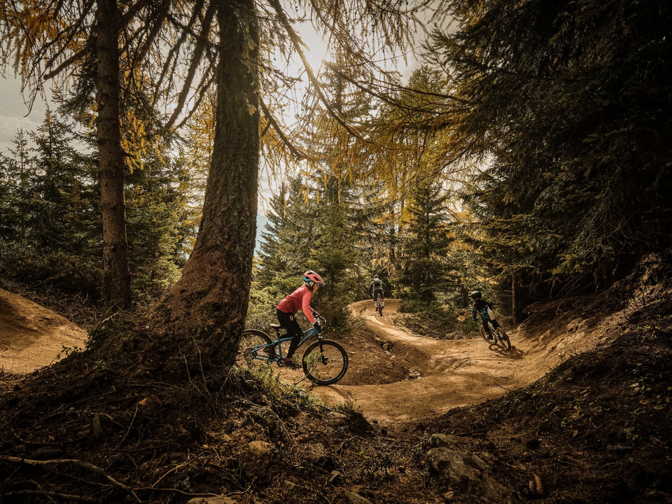 Flowtrail Wurzenbord