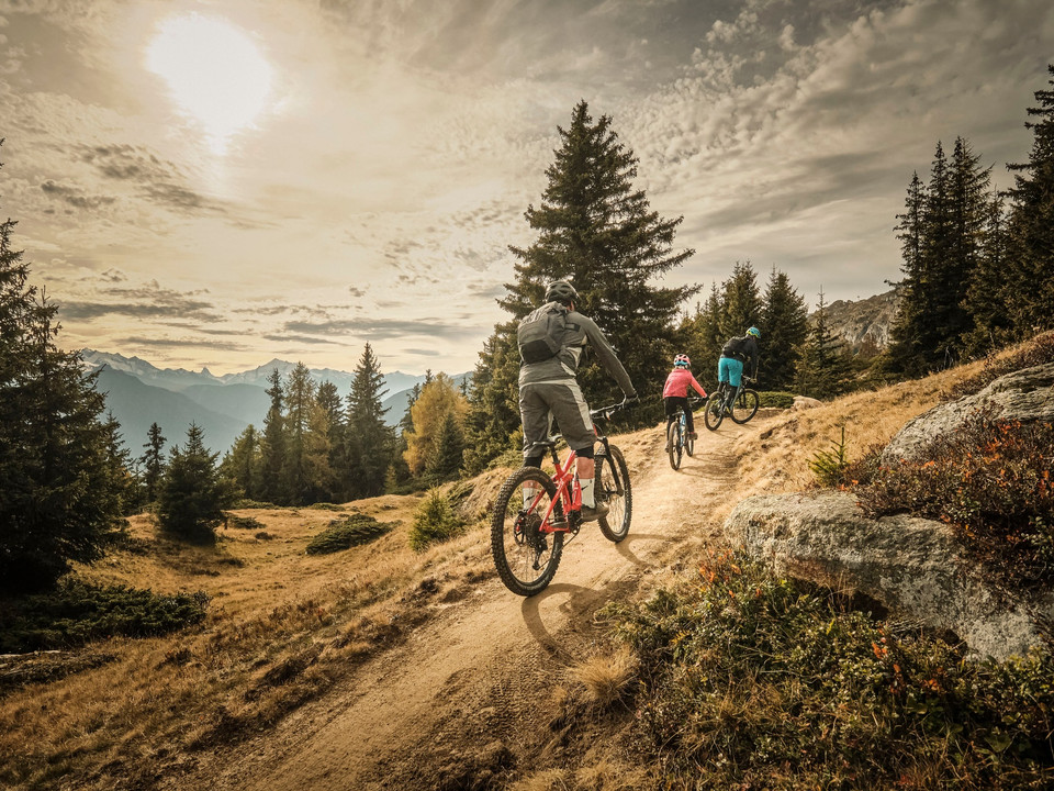 Flowtrail Wurzenbord