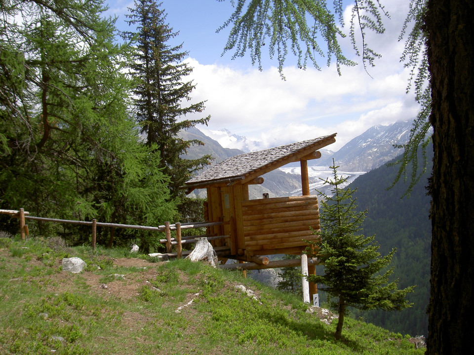 Wildbeobachtungsposten Holzji