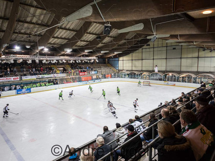 Eishockey-Spiel der TAG Salzgitter Eisfighters in der Eissporthalle