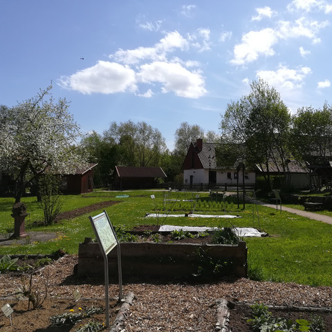 Apothekergarten des Brotmuseums