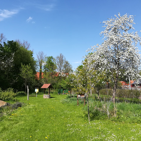 Garten des Brotmuseums
