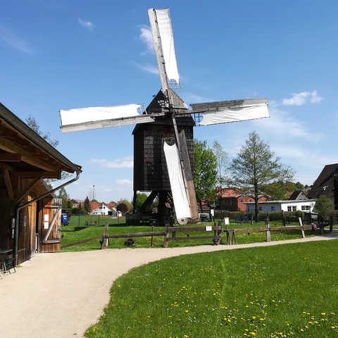 Bockwindmühle auf dem Außengelände des Brotmuseums