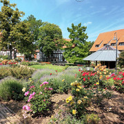 Rosengarten Salzgitter-Bad