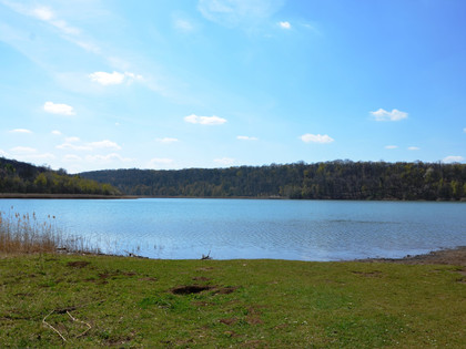 Reihersee Salzgitter, Blick vom Nordufer aus