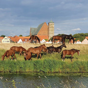 Stadt Verden (Aller)