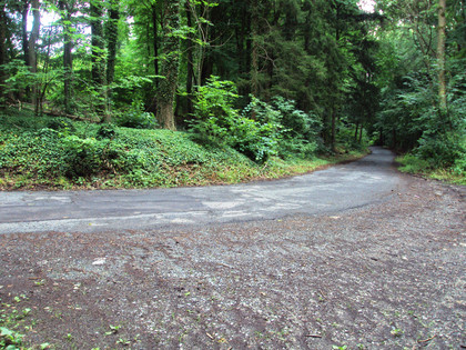 Salzgitter Höhenzug, Wanderweg 27 Waldausgang auf Zufahrtsstrasse zur Burgruine Lichtenberg