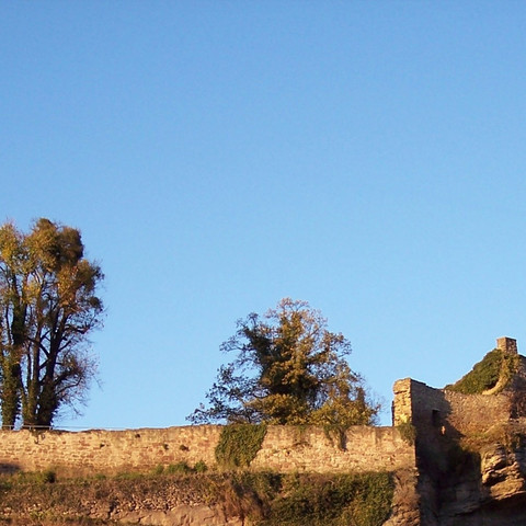 Burgruine Hardenberg