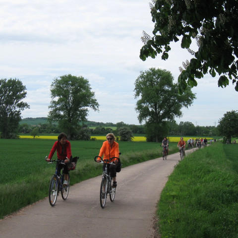 Leine-Heide-Radweg
