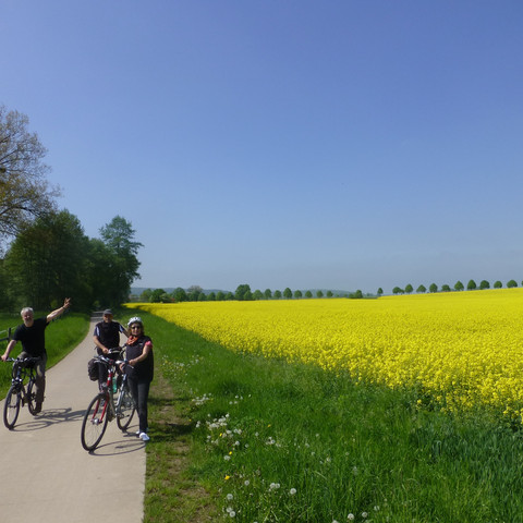Leine-Heide-Radweg bei Friedland