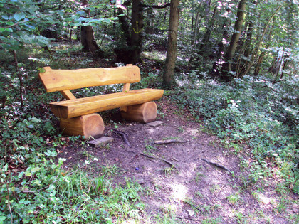 Salzgitter Höhenzug Wanderweg 27 Rastbank