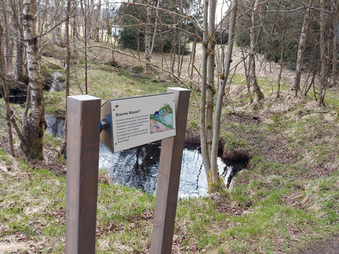 am Moorlehrpfad Stengelhaide