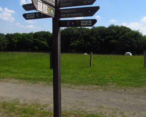 Wegweiser Asel Süd Edersee