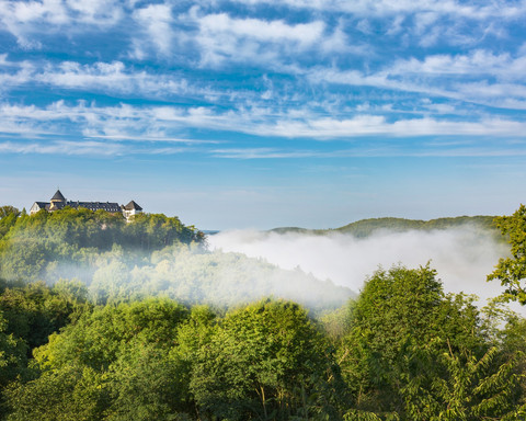 Schloss Waldeck im Frühling mit Hochnebel