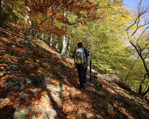 Herbstliche Wanderstimmung auf schmalen Pfaden am Urwaldsteig Edersee