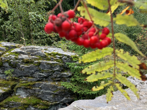 Genesenstein mit Sitzgruppe auf FW 1