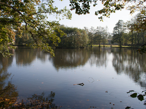 Faktoreiteich (Unterer Hüttenteich)