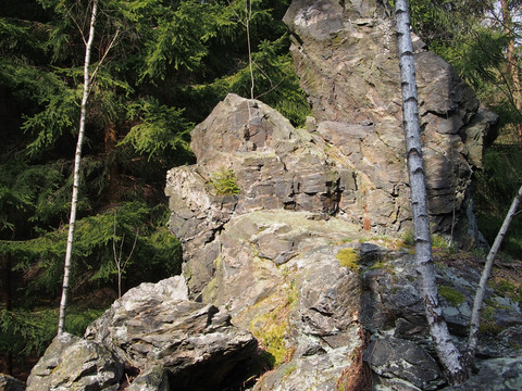 Geotop Versteinerter Mönch nahe dem Schwarzen Stein in Grünbach