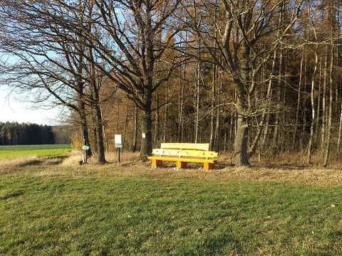 Bank an der historischen Waldspitz
