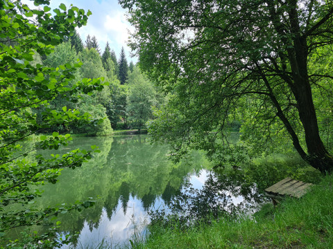 Stauweiher Ellefeld