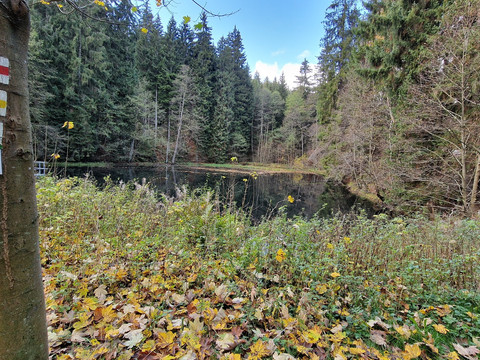 Vorderer Floßteich Erlbach