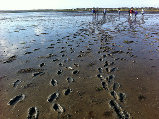 Fussspuren im Watt vor Rantum.JPG