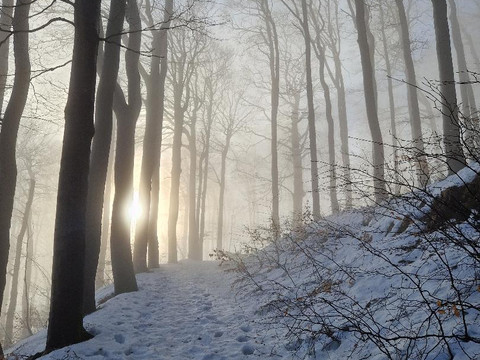 Schneeweg zur Lausche