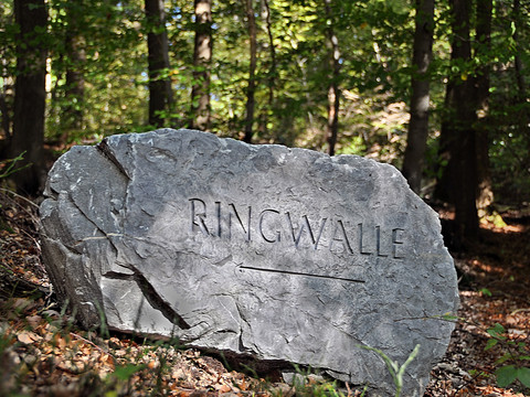 Hinweis Ringwälle Leuscheid