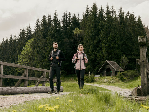 bei Rehefeld-Zaunhaus