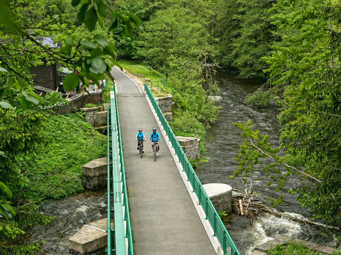Querung Zwickauer Mulde