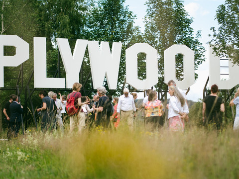 © Jay Gard, Plywood, 2024; Courtesy: Jay Gard: Foto