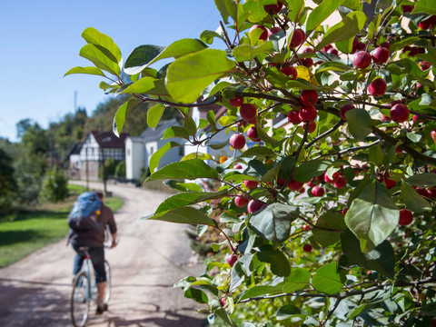 Radweg entlang der alten Bahn