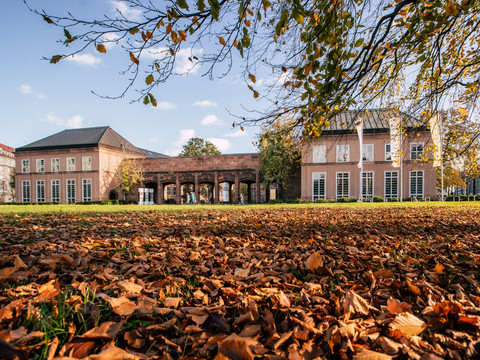 GRASSI Museumskomplex Leipzig - Museen in Leipzig Der Johannisplatz vor dem GRASSI Museumskomplex ist mit buntem Laub bedeckt, im Hintergrund ist der Eingang zum Museum, Familie, Freizeit, Ausstellungen