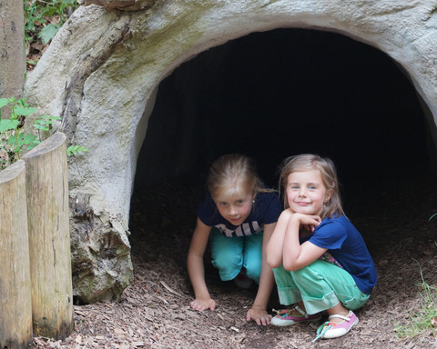 Es gibt viel zu entdecken auf dem "Eichhörnchenpfad" bzw. auf Eddis Edersee Erlebnistour
