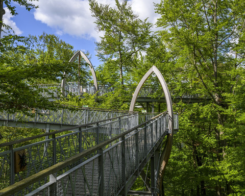 Den Baumwipfeln so nah! Baumkronenweg Edersee