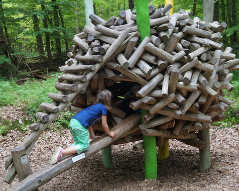 Es gibt viel zu entdecken auf dem "Eichhörnchenpfad" bzw. auf Eddis Edersee Erlebnistour