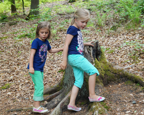Es gibt viel zu entdecken auf dem "Eichhörnchenpfad" bzw. auf Eddis Edersee Erlebnistour