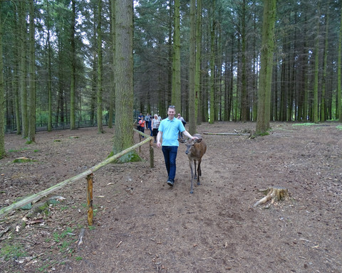 Nicht selten: Persönliche, tierische Begleitungen im WildtierPark Edersee