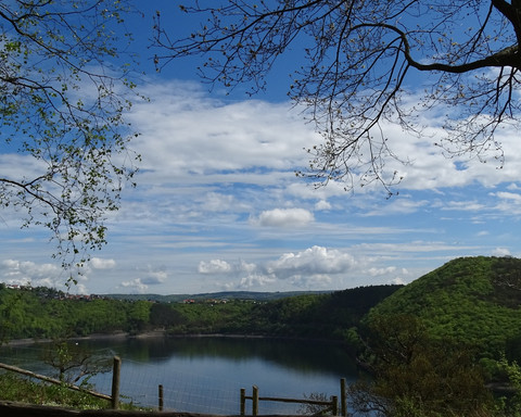 Ausblick auf den Edersee vom WildtierPark Edersee