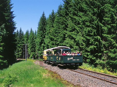 Wernesgrüner Schienen-Express inmitten der wunderschönen Natur