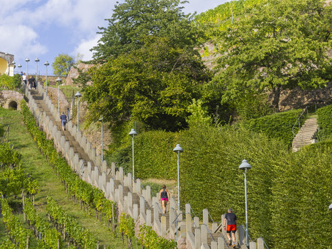 Spitzhaustreppenlauf in Radebeul Radebeul Weinhänge