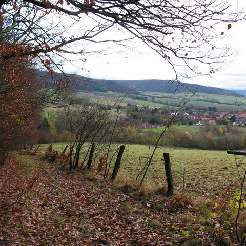 Blick von Wiershausen