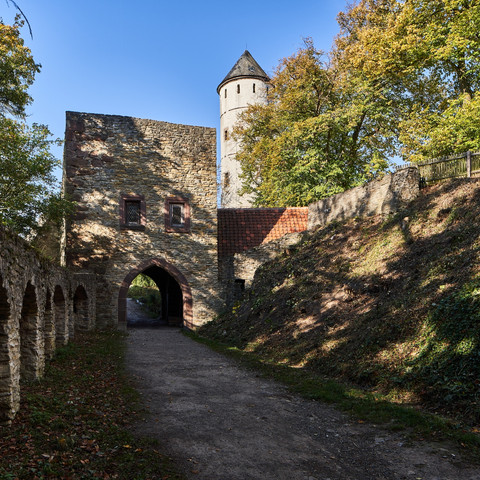 Eingang zur Burg Plesse
